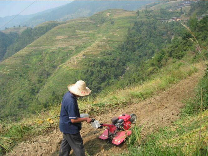 mini tiller application