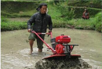 mini tiller application